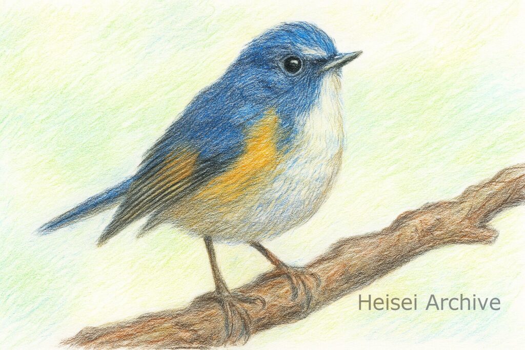 色鉛筆で書いた青い鳥のイメージイラスト(Heisei Archive)